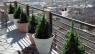 Deck Railings